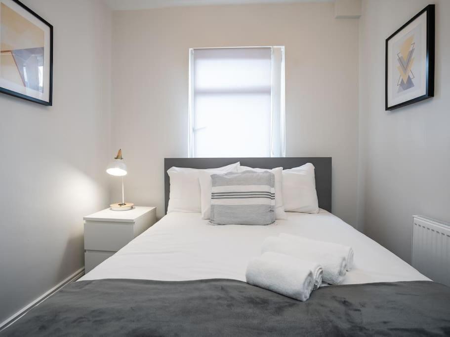 Cozy Townhouse, Walking Distance To Belfast City Kültér fotó